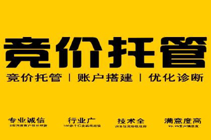 百度竞价，网络创业者的赚钱利器——案例解析